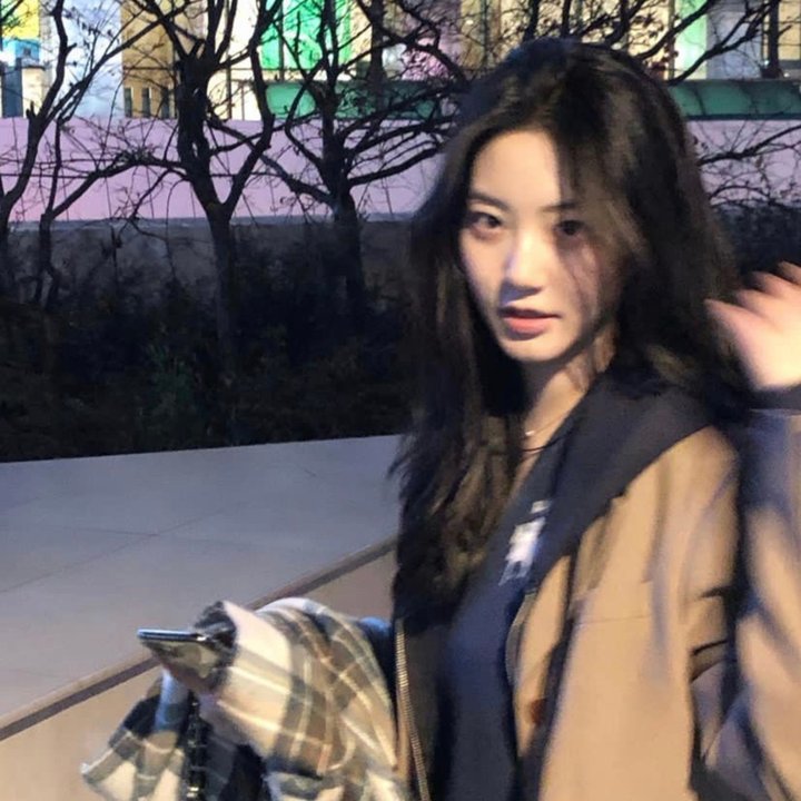 哈莉·奎茵第一季