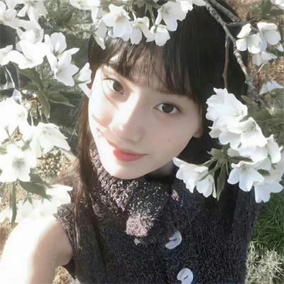 藏海传